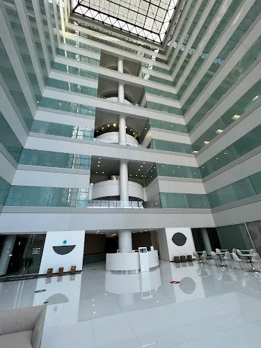 Our Office